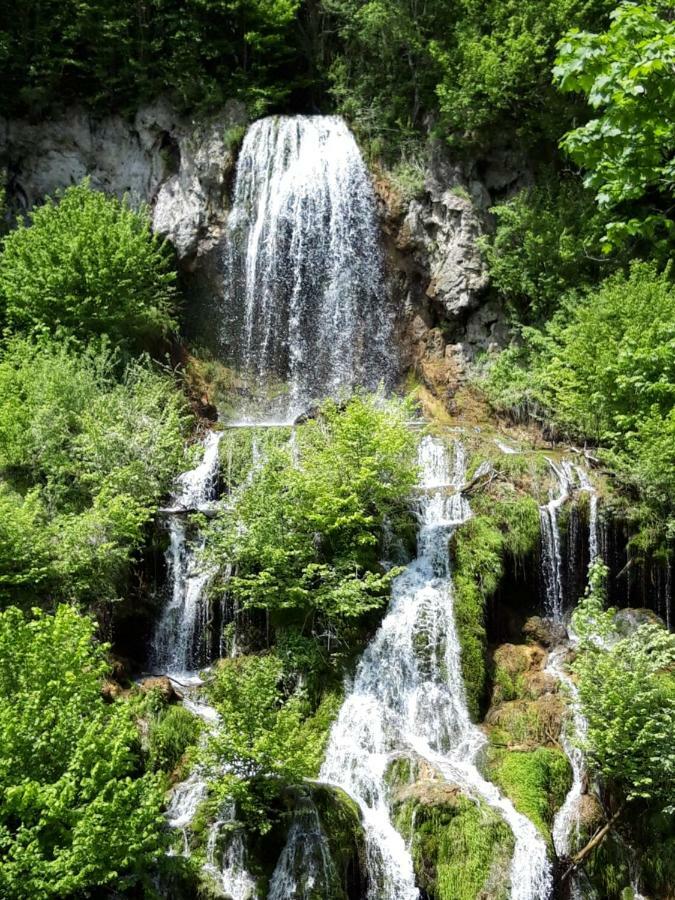 Colt De Rai - Camera De Inchiriat Решица Экстерьер фото