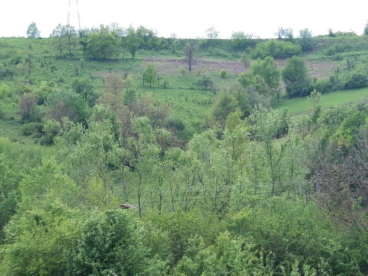 Colt De Rai - Camera De Inchiriat Решица Экстерьер фото