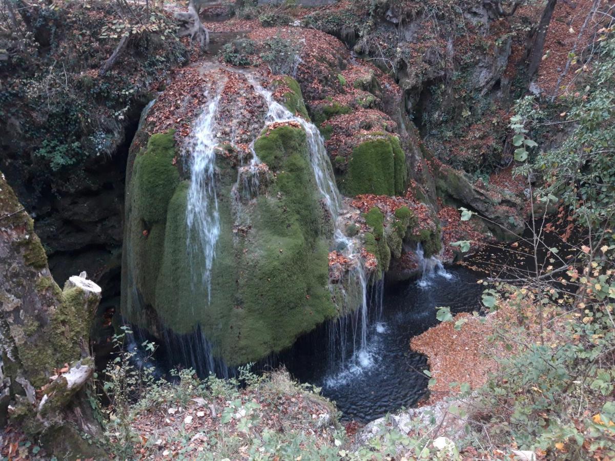 Colt De Rai - Camera De Inchiriat Решица Экстерьер фото